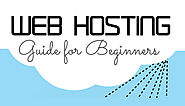 What is Web Hosting? : A Beginner’s Guide