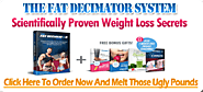 My 12 Weeks on The Fat Decimator System – Review and Results