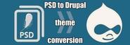 Try To Get the Best PSD to Drupal Conversion for Developing Your Online Business
