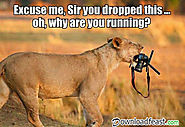 Top 35 funny jokes and funny images | Downloadfeast