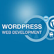 WordPress Development Company