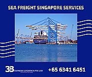 Sea Freight Singapore Freight Forwarding Logistics Company Singapore and Warehousing Logistics