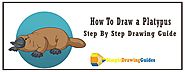 How To Draw a Platypus - Simple Drawing Guide