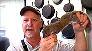 BEST WAY TO CLEAN AND COOK SQUIRREL Cast Iron Cooking
