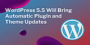 WordPress 5.5 Preview – Auto Updates for Themes & Plugins