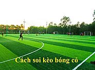 Hướng dẫn cách soi kèo bóng cỏ hiệu quả nhất Cảm Bóng Đá