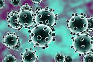 Coronavirus Tips: How to Protect yourself from COVID-19? | Base Read