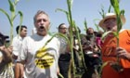 French ban of Monsanto GM maize rejected by EU | Environment | guardian.co.uk
