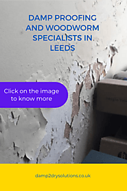 damp proofing by Damp2Dry