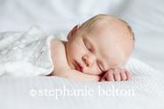 Stephanie Belton Photography