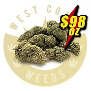 98OZ – ROMULAN – AAA – INDICA