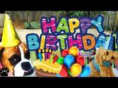 DOG BIRTHDAY PARTY - How to throw your dog a party- a tutorial by Cooking For Dogs