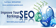 Find out the SEO strategy used by the top SEO company to increase the ranking