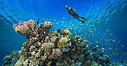 Hurghada Dive Resort