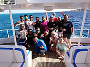 Best Diving, Padi Open Water Courses price in Hurghada