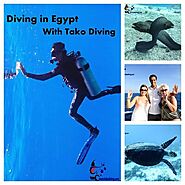 Open Water Course In Hurghada