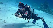 What to Choose PADI Diving or SSI Diving