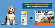 Credelio or Frontline Plus: Which one is Right for Your Dog