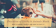 Prevention of Cruelty to Animals Month: What Is Animal Cruelty & How To Stop It?
