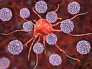 Immuno Oncology Treatments - Merck India Expertise