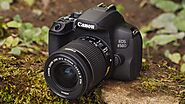 Canon DSLR | Cheap Digital SLR Camera | Justclik