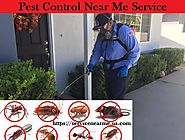 Why we need Professional Pest Control Near Me Service