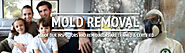 Mold Removal And Remediation: How To Get Rid Of Mold