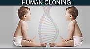 Human Cloning- Nature or nurture