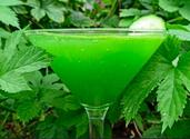 Green Zapper