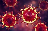 Coronavirus : What is Coronavirus and what are the symptoms and how do I ,protect my self ? | LikeYourstory