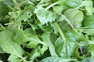 Leafy Greens & Salads