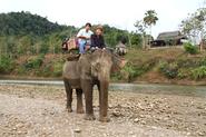 Mahout experience