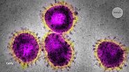 Coronavirus latest: Trump halts funding for WHO