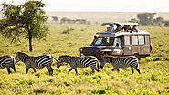 Discover And Explore Amazing Ababa Uganda Safari Tours