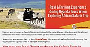 Real &Thrilling Experience during Uganda Tours When Exploring African Safaris Trip