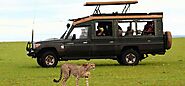 Kenya Safari Tours: Reconnect With Wildlife Nature