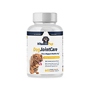 Need Of Hemp Calming Treats and Vitamin Supplements for Dog’s Nutrition