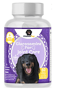 Dog Care Glucosamine | Joint care for dogs CBD