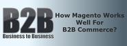How Magento Works Well For B2B Commerce?