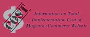 Information on Total Implementation Cost of Magento eCommerce Website