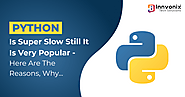 Python Programming Is Super Slow But Still Very Popular - Here Are The Reasons