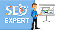 Qualities That An SEO Expert Must Have - Streaming Words