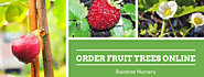 Order Fruit Trees | Online Tree Nursery | Raintree Nursery