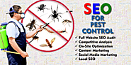 Get SEO Services for Pest Control Business from XtremeUx Digital