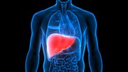 Fatty liver disease: What it is and what to do about it - Harvard Health Blog - Harvard Health Publishing
