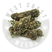 Website at https://www.westcoastweeds.com/product/gold-leaf-aaa-indica/