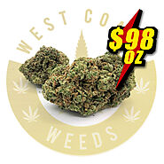 98OZ - CITRIQUE - AAA - SATIVA | westcoastweeds.com | Shop now!