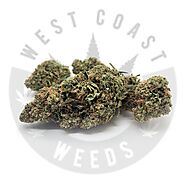 VIOLATOR - AAA - INDICA | Medical Marijuana | westcoastweeds.com