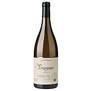 Vin blanc bourgogne : les arômes du Chardonnay