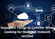 Important Things to Consider When Looking for Managed Network Services
